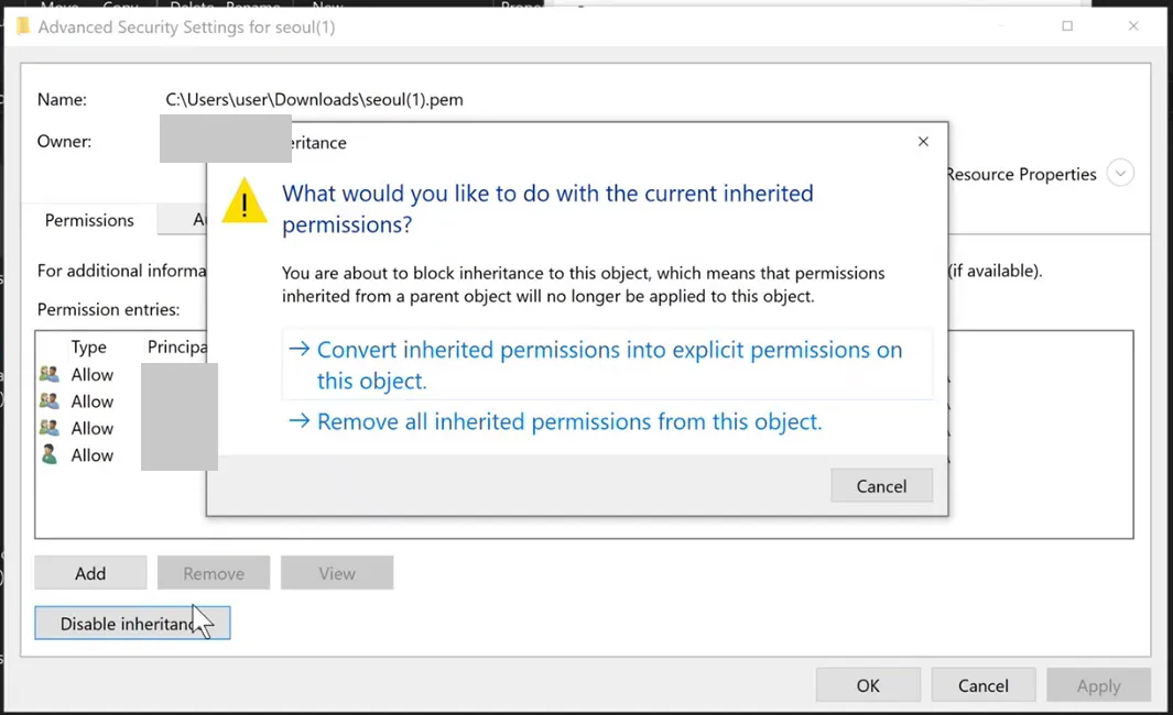 Windows Advanced Security Settings dialog for the key file