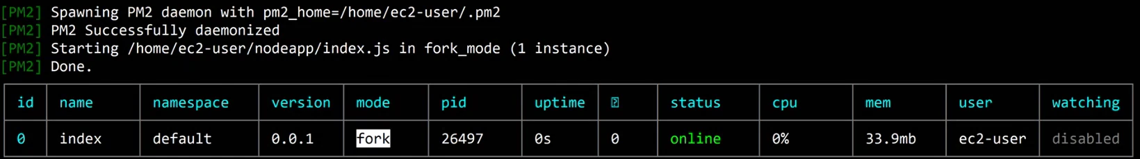A black terminal: [PM2] Spawning PM2 daemon with pm2_home=/home/ec2-user/.pm2, PM2 Successfully daemonized, Starting /home/ec2-user/nodeapp/index.js in fork_mode (1 instance), Done. Below, a table with the columns id, name, namespace, version, mode, pid, uptime, restarts, status, cpu, mem, user, watching and one row: 0, index, default, 0.0.1, fork, online, 0%, 33.9mb, ec2-user, disabled.