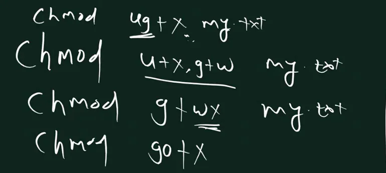 Handwritten board: four lines, chmod ug+x my.txt, chmod u+x,g+w my.txt with a line under the comma part, chmod g+wx my.txt with wx underlined, and chmod go+x.
