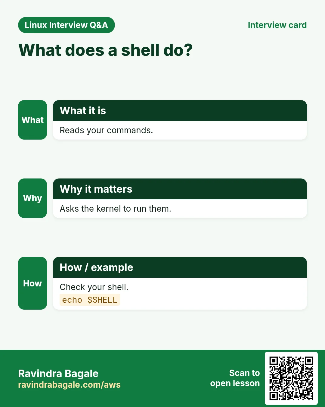 What does a shell do?. Reads your commands. Asks the kernel to run them. Check your shell.