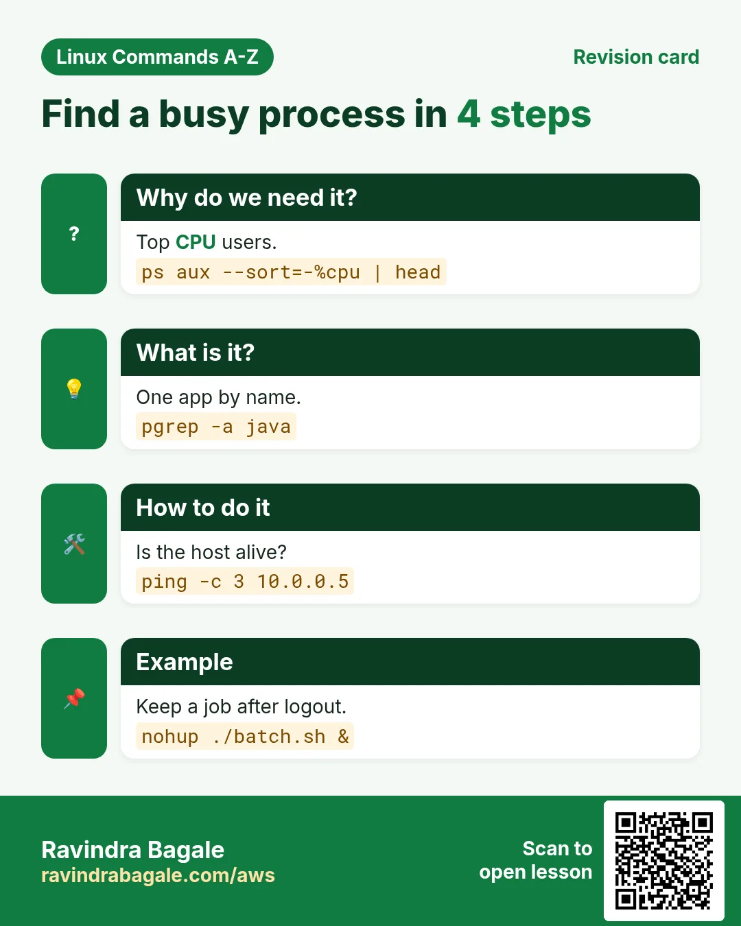 Find a busy process in 4 steps. Top CPU users. One app by name. Is the host alive? Keep a job after logout.
