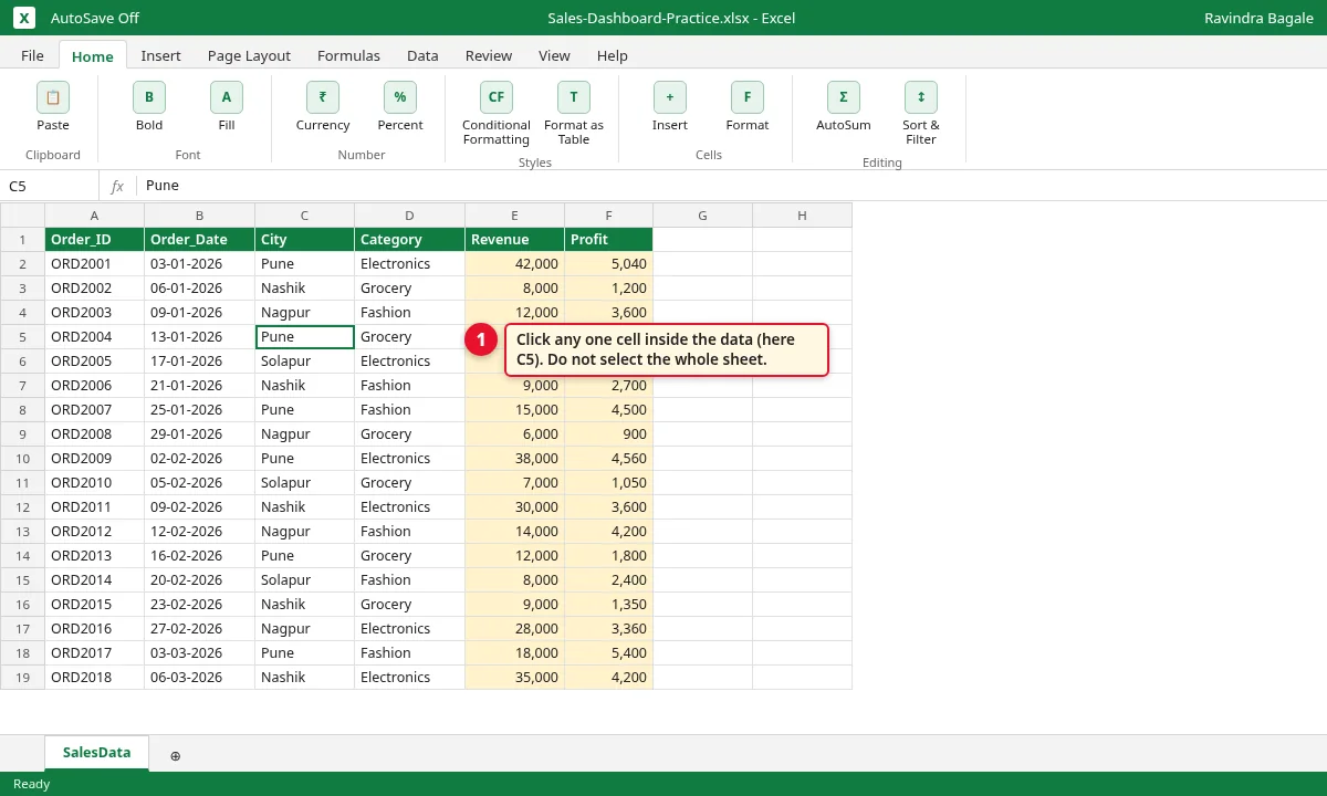 Excel SalesData sheet with 24 orders, cell C5 selected