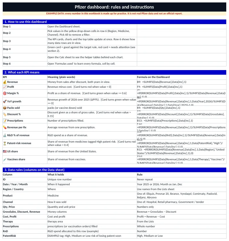Rules & Instructions sheet: what each column means and the allowed values.